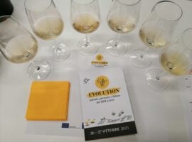 Collio Evolution, il momento della degustazione