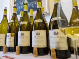 verticale villa bucci