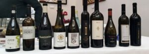 I vini in degustazione