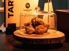 Tartufo bianco