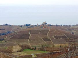 Le Langhe