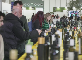 expo evolio 2