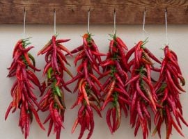 Corone di peperoncini calabresi