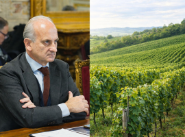 Lamberto Frescobaldi, Presidente di UIV; un vigneto italiano