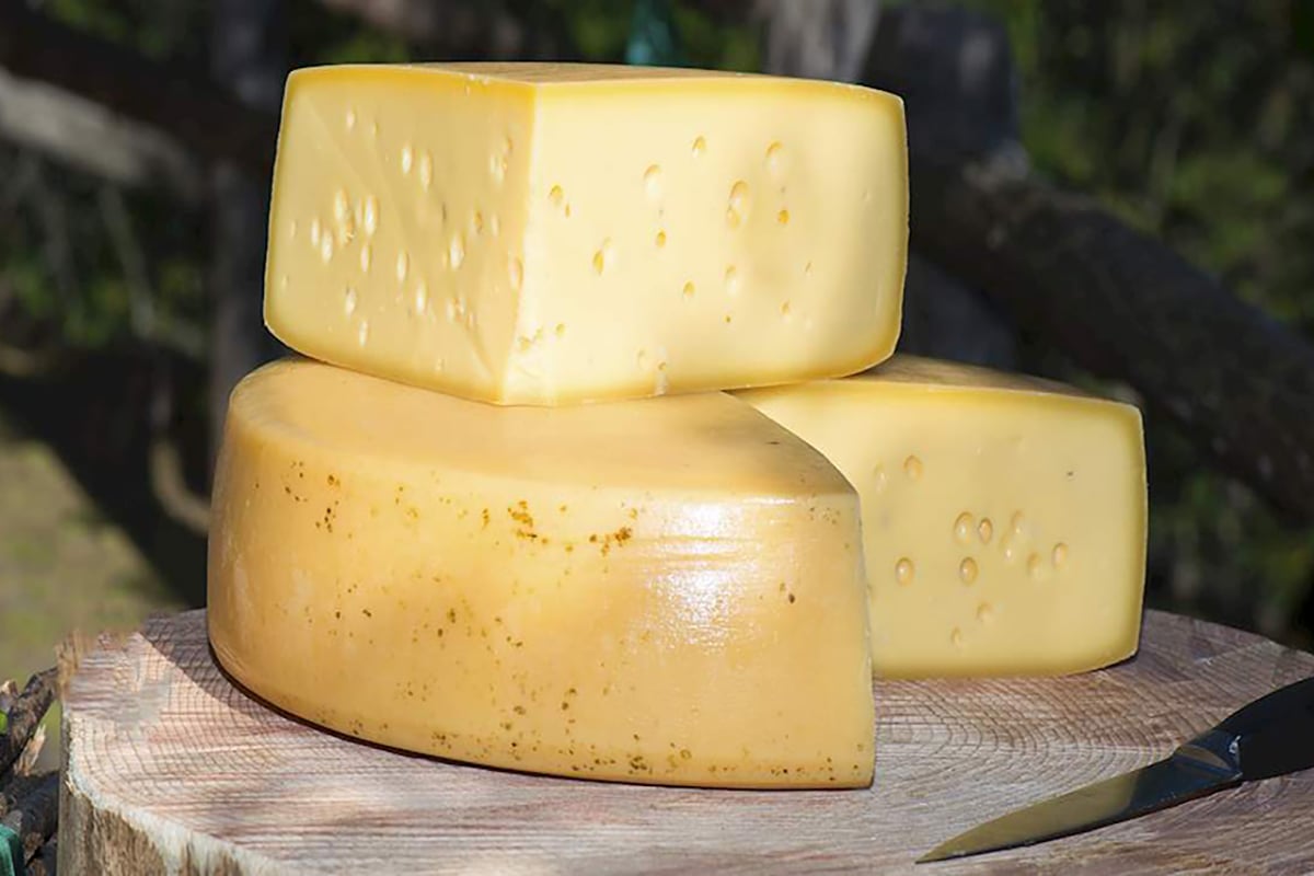 Il formaggio Stelvio o Stilfser