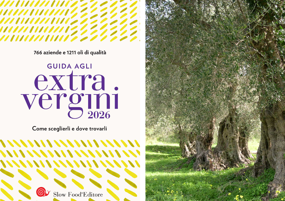 Guida agli Extravergini 2026 di Slow Food Italia – La copertina