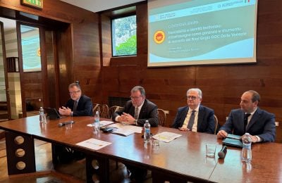 Luciano Ferraro, Luca Rigotti, Francesco Liantonio e Biagio Morana