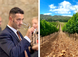 Marco Piro, presidente del Consorzio Vermentino Docg e un vigneto in Sardegna