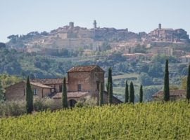 Panoramica di Monforte d’Alba