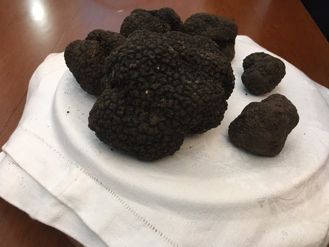Tartufo siciliano