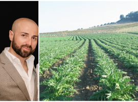 Filippo Romano e il carciofo Spinoso di Menfi