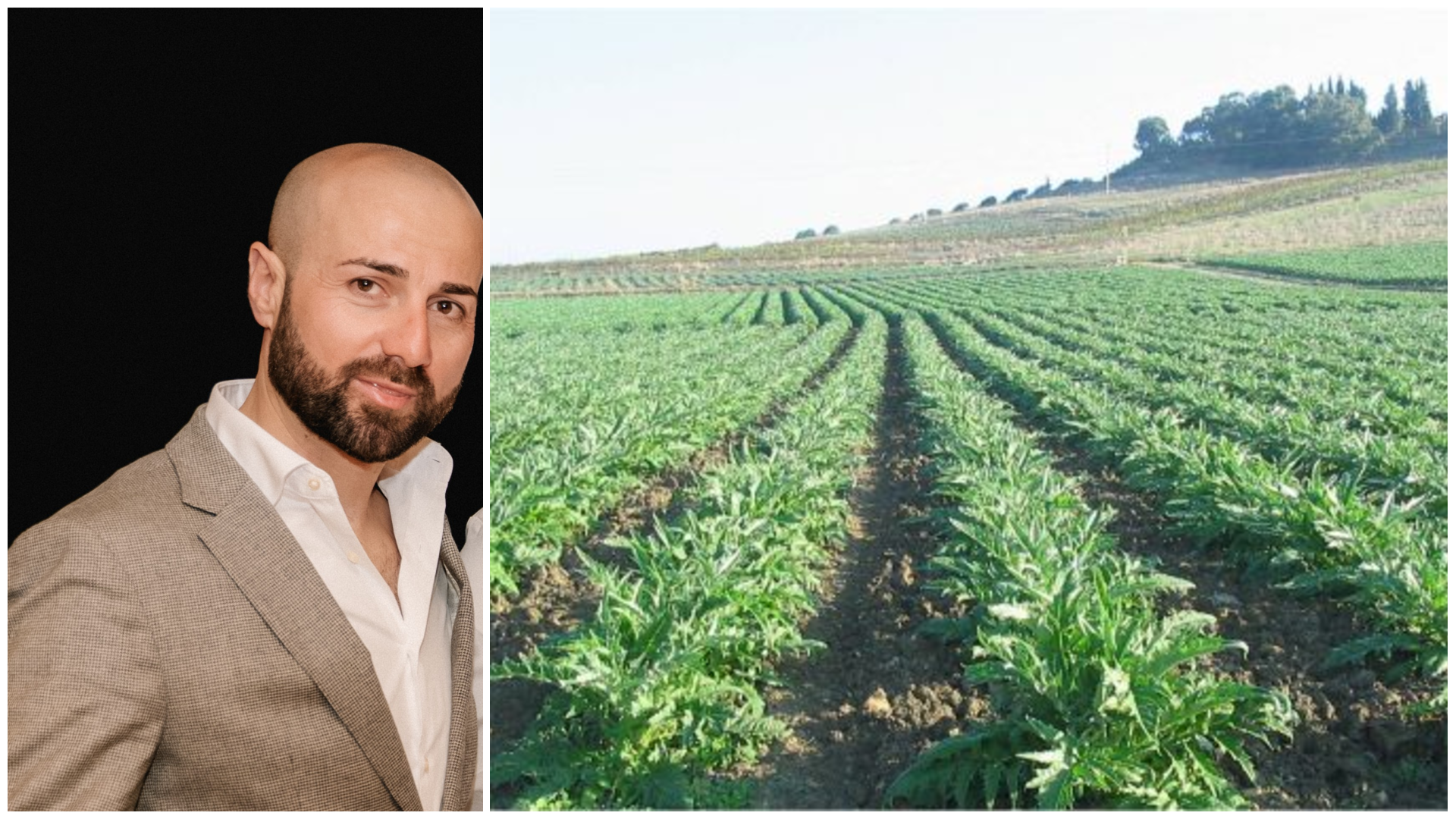 Filippo Romano e il carciofo Spinoso di Menfi