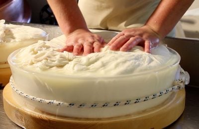 Lavorazione della Fontina Dop