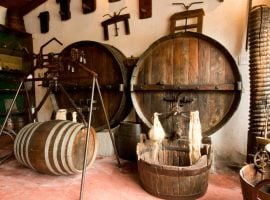 La sala viticoltura ed enologia del museo del Vino Ricci Curbastro