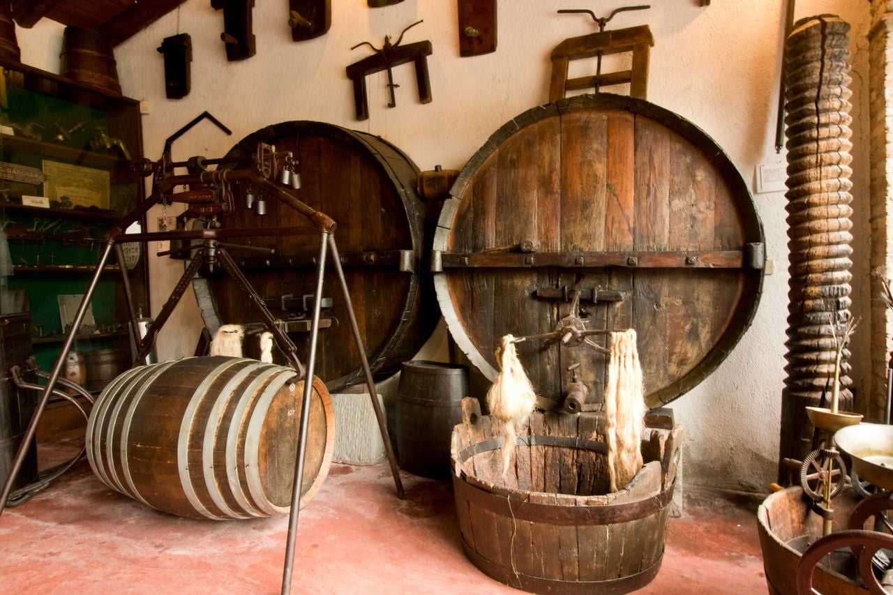La sala viticoltura ed enologia del museo del Vino Ricci Curbastro