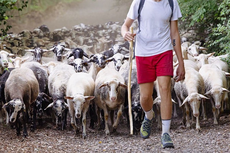 Scuola di perfezionamento per la pastorizia estensiva di Calascio