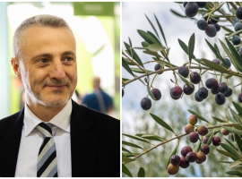 Mario Terrasi presidente del Consorzio Olio Igp Sicilia