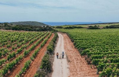 Il sentiero del Carignano del Sulcis