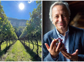 Vigneti e Luigi Moio