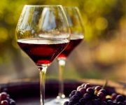 La Sicilia protagonista al prossimo Vinitaly