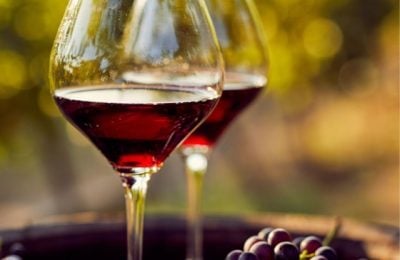 Vini siciliani, 130 cantine nella nuova guida Slow Wine: tutti i numeri