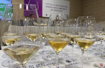 La degustazione dei vini Verdicchio dei Castelli di Jesi Docg