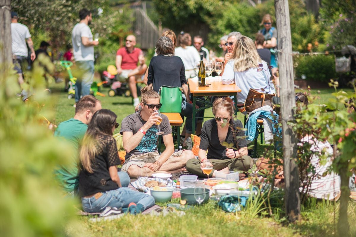 Una recente edizione del Sabato del Vignaiolo