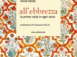 La copertina del libro
