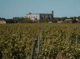 La storica tenuta Casino Nitti