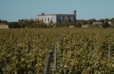 La storica tenuta Casino Nitti