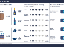 Il settore vinicolo in Italia – l’infografica dell’area studi Mediobanca