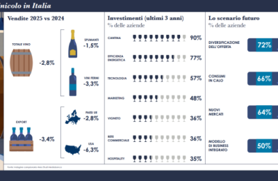 Il settore vinicolo in Italia – l’infografica dell’area studi Mediobanca