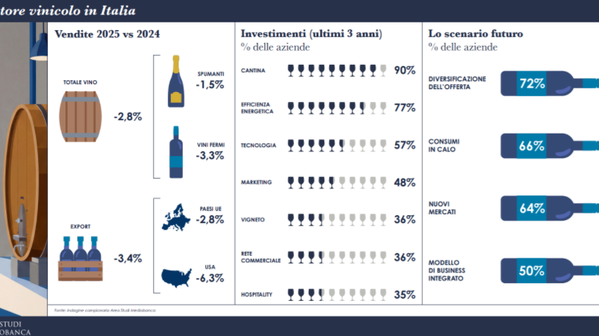 Il settore vinicolo in Italia – l’infografica dell’area studi Mediobanca