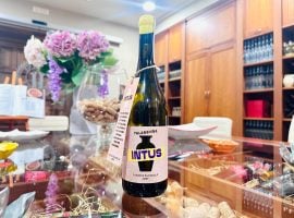 Intus, la presentazione a Torrecuso