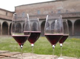 Lambrusco a Corte: un’immagine simbolo dell’evento