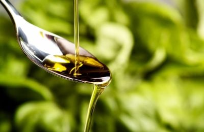 Olio Evo – foto archivio