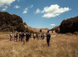 Pollino Cocktail Camp, mixology e biodiversità nel cuore del Parco nazionale