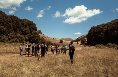 Pollino Cocktail Camp, mixology e biodiversità nel cuore del Parco nazionale