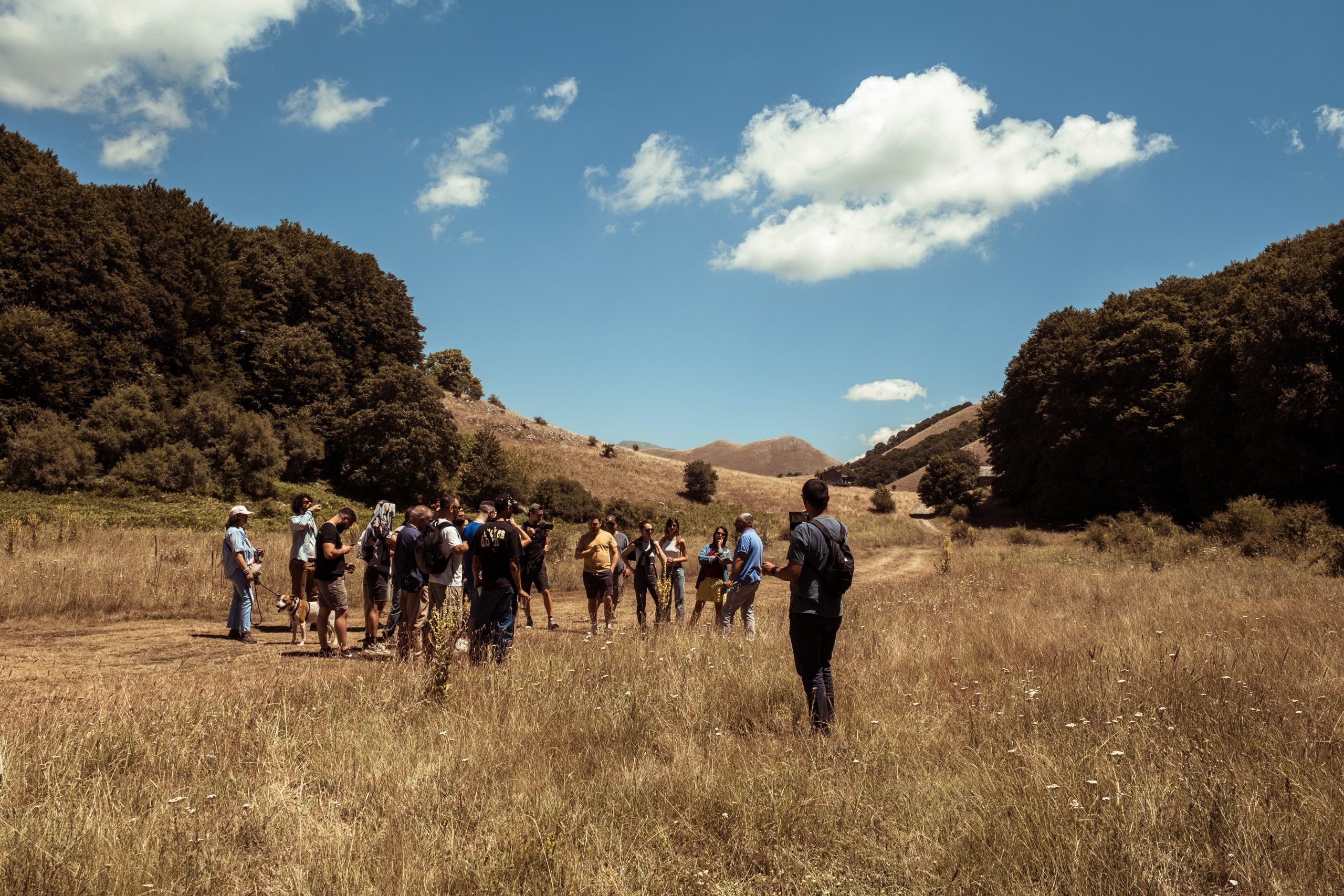 Pollino Cocktail Camp, mixology e biodiversità nel cuore del Parco nazionale