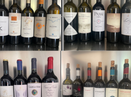 Alcuni vini Bolgheri degustati