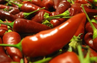 Peperoncino calabrese