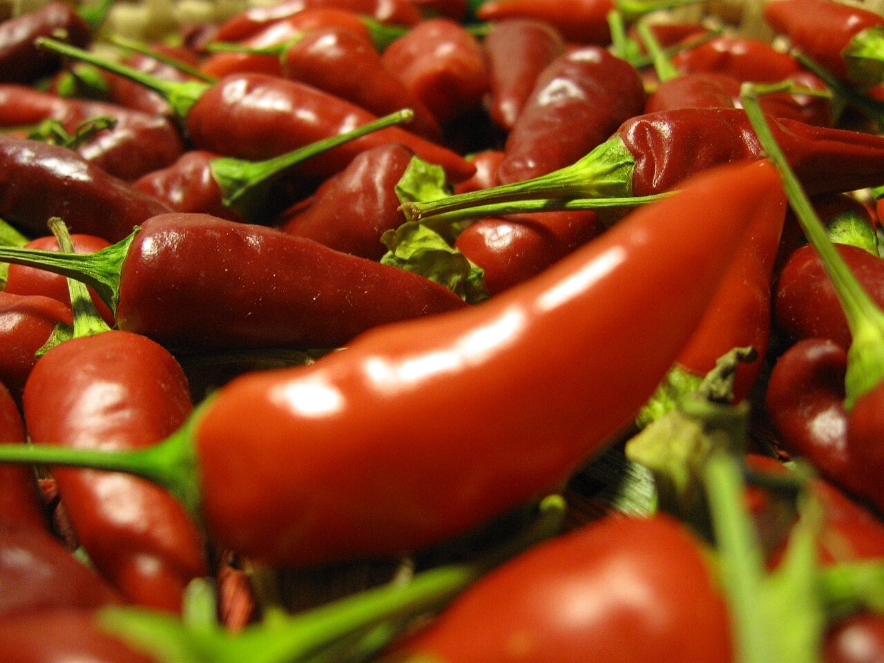 Peperoncino calabrese