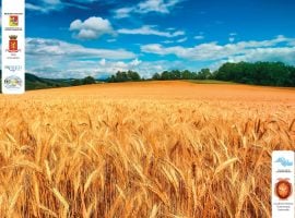 Torna Corleone libera e produttiva, un’immagine simbolo dell’evento