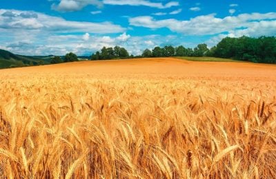 Torna Corleone libera e produttiva, un’immagine simbolo dell’evento