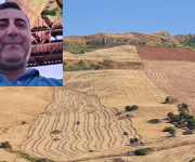 Un campo di grano a Petralia Sottana e nel riquadro Filippo Trubia
