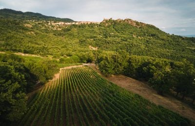 Vigna dell’Asina