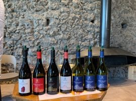 I vini degustati
