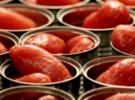 Pomodoro – foto archivio