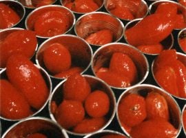 Il pomodoro in una delle fase del processo di produzione