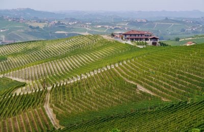 Alta Langa, immagine di vigneti